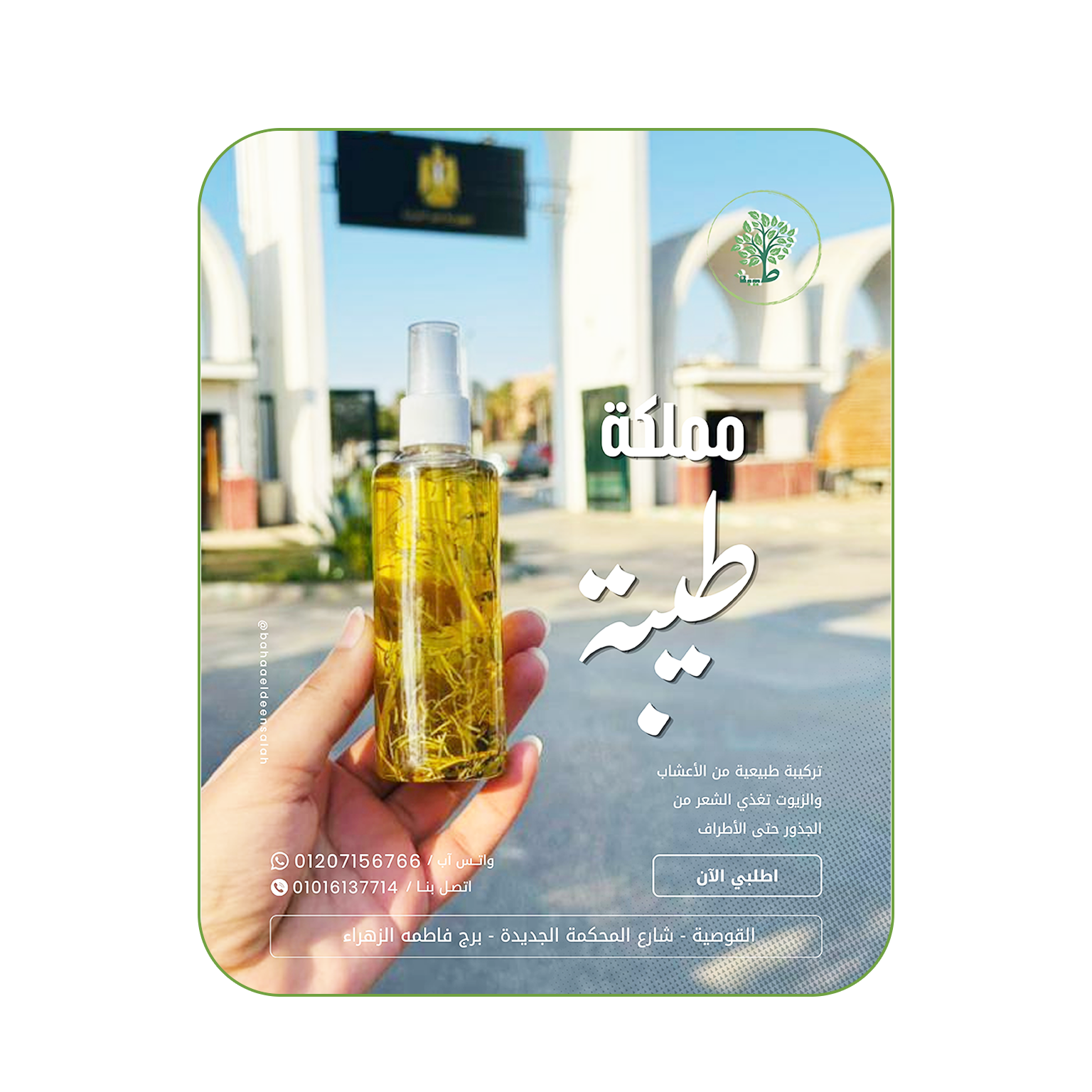 teba magical hair formula2 teba magical hair formula2