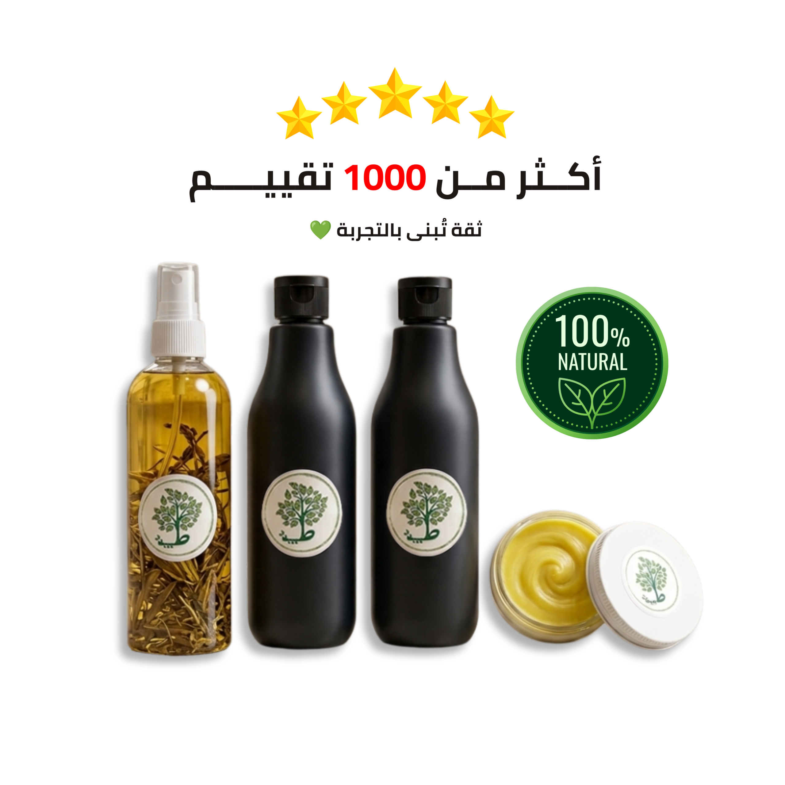 teba hair 1.1 (1)